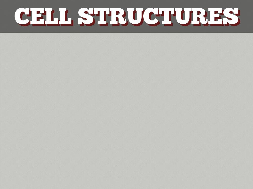 Cell Structure 