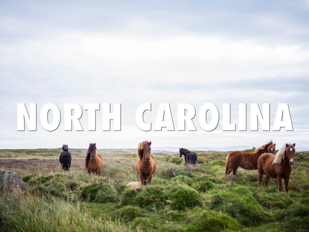 North carolins