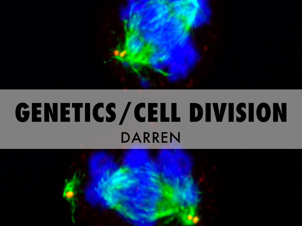 Genetics/Cell Division 