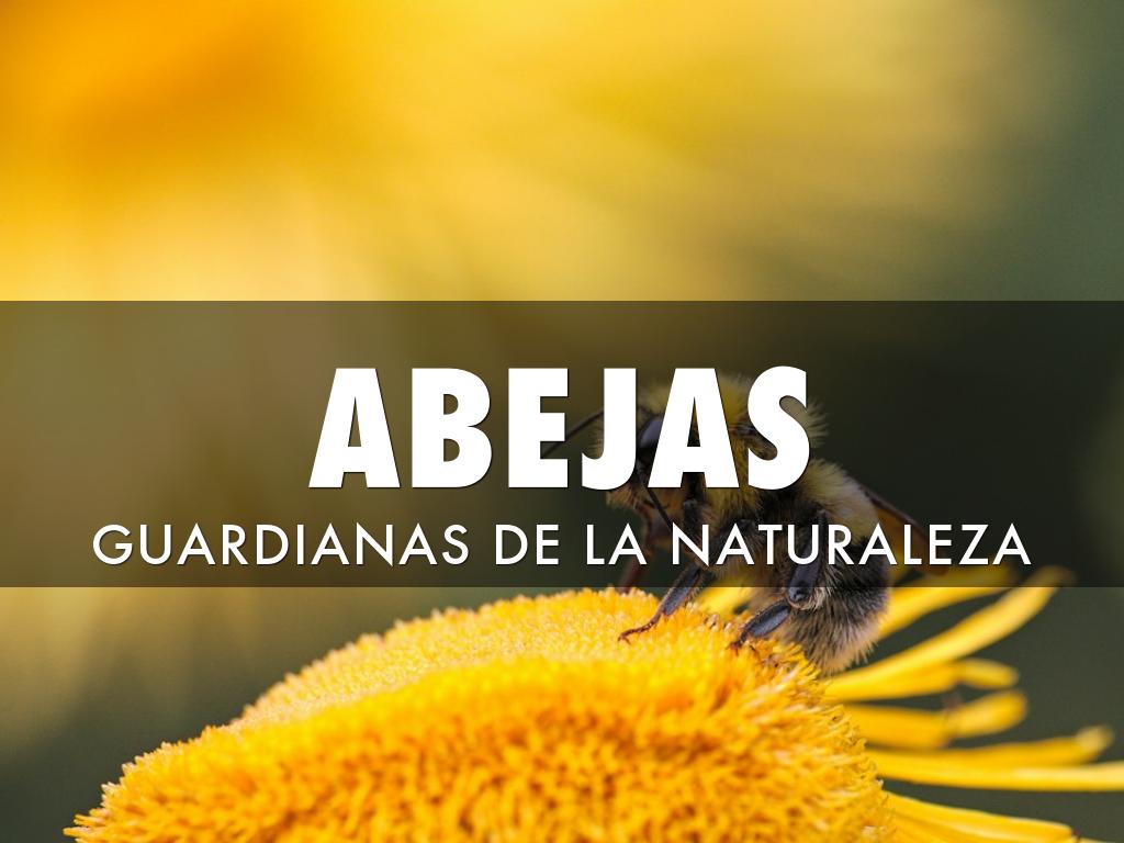 ABEJAS