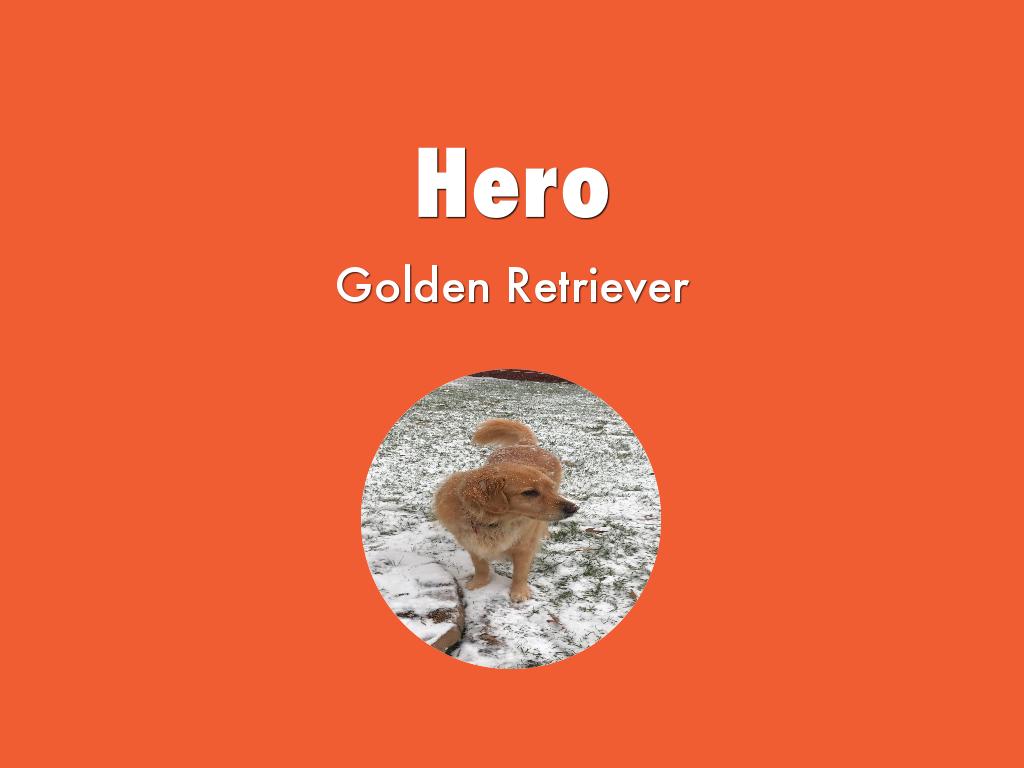 Hero