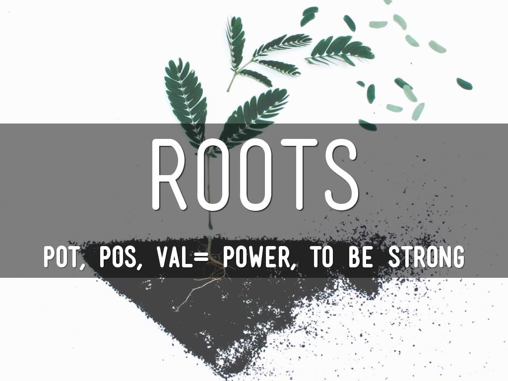 Roots May 18