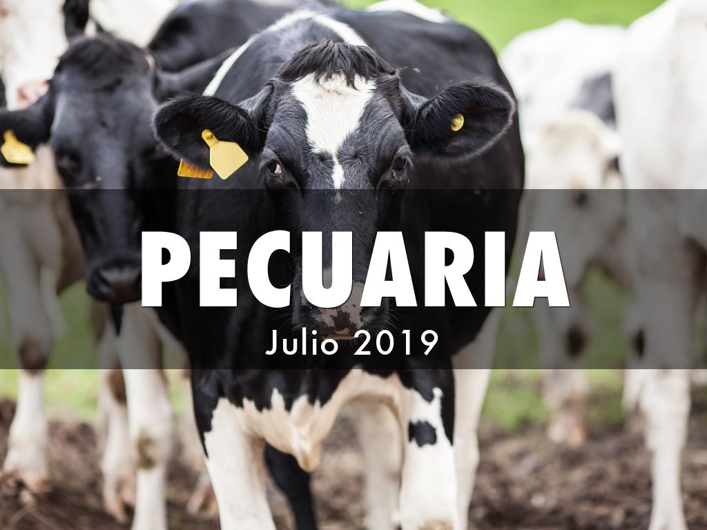 PECUARIA