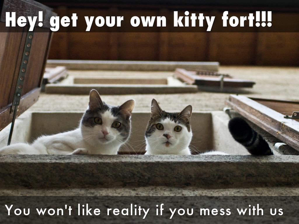 dream to reach the stars BELIEVE!