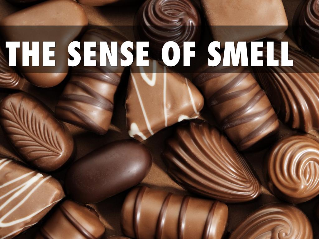 Copy of The Sense of Smell