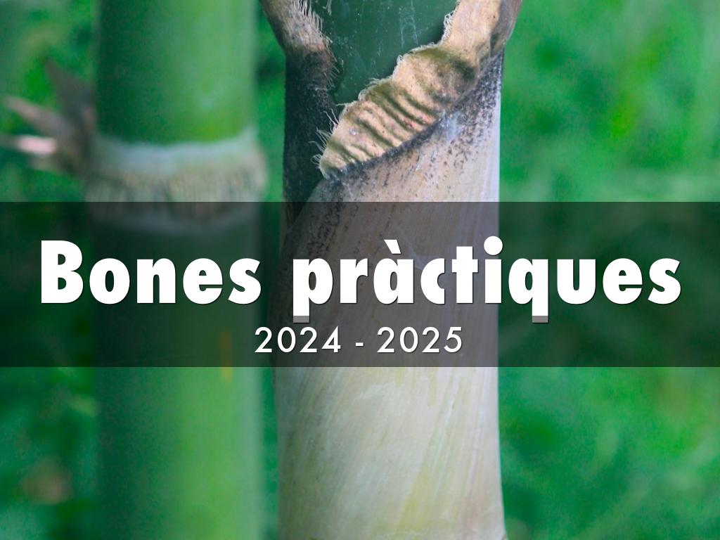 Bones pràctiques (24-25)