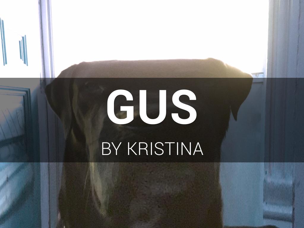 Gus 