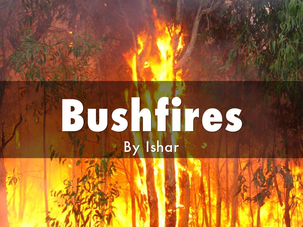 Bushfires