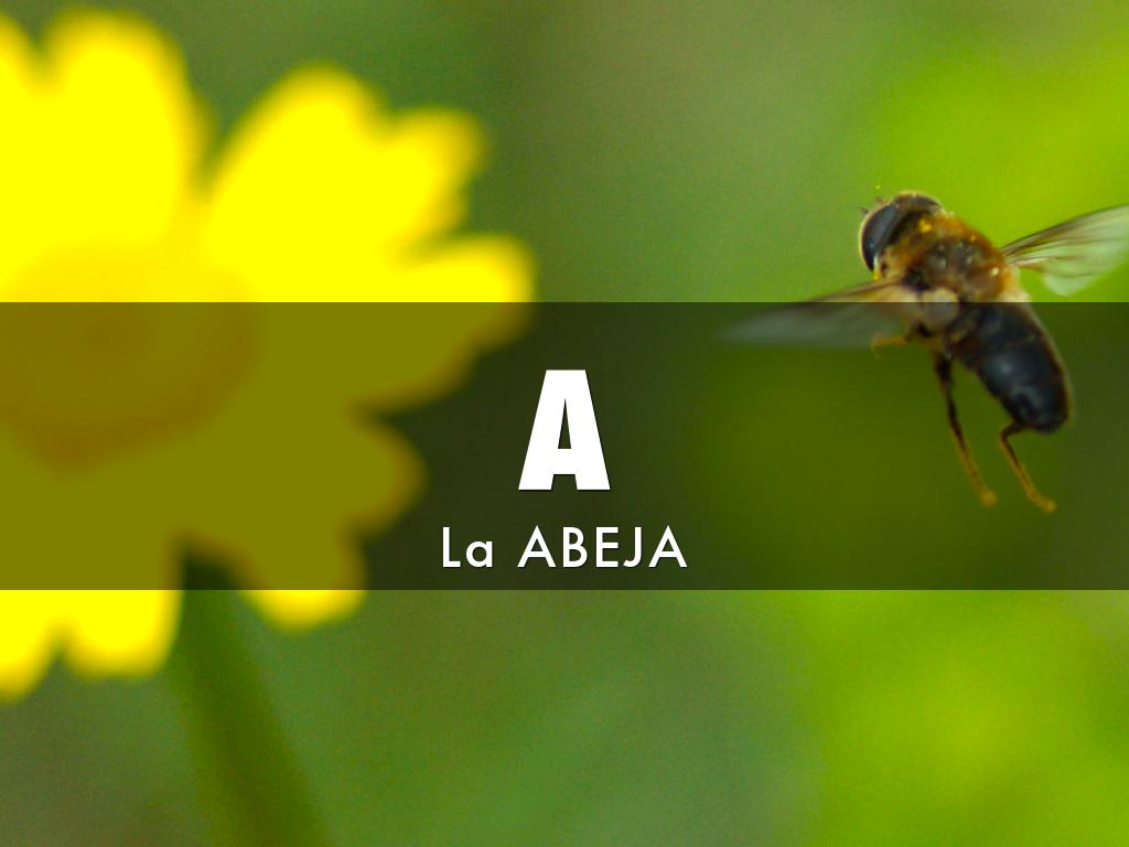 Mi Libro Del Alphabeto