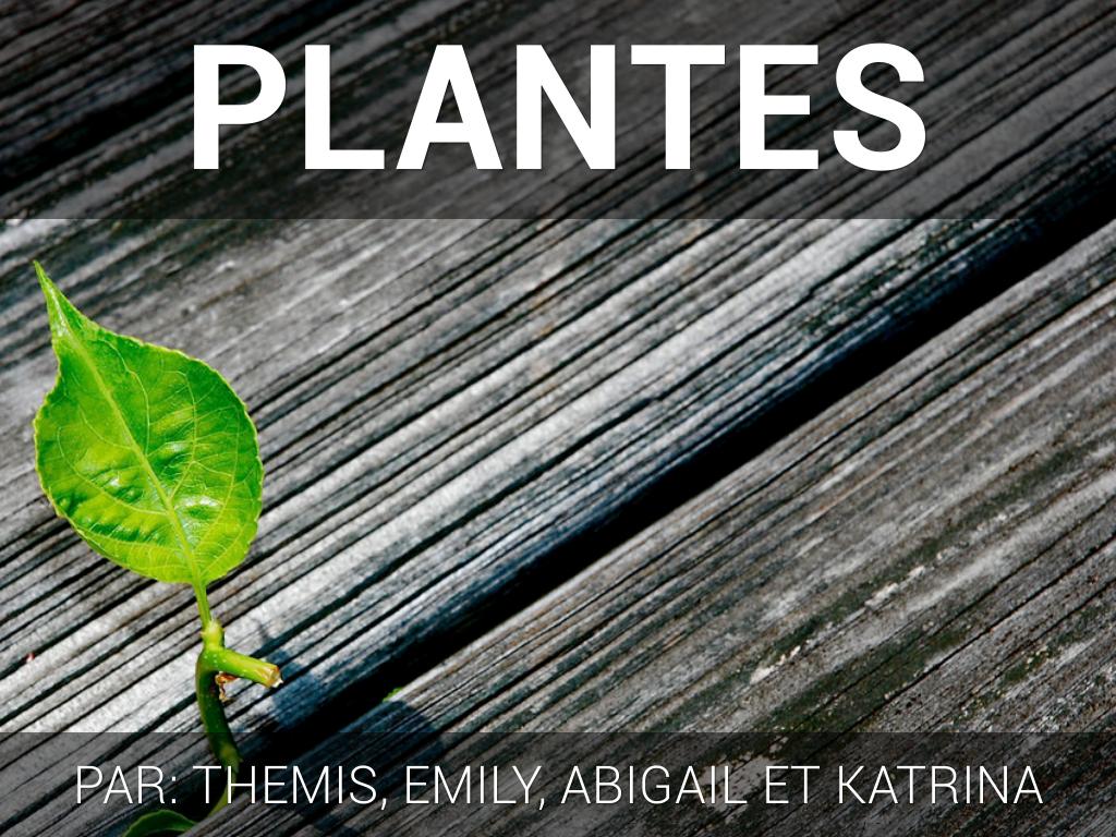les plantes