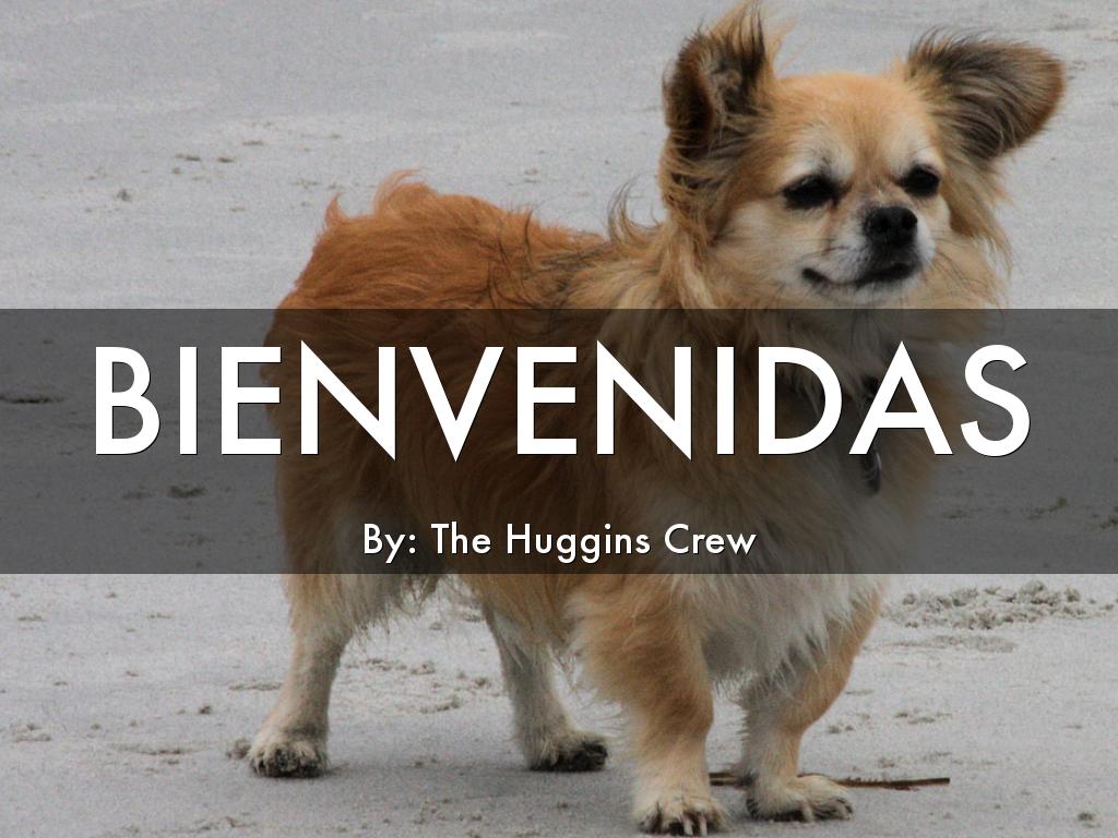 Copia de What is Creativity