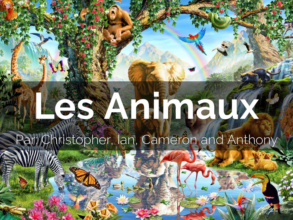 Par: Christopher, Ian, Cameron, et Anthony.