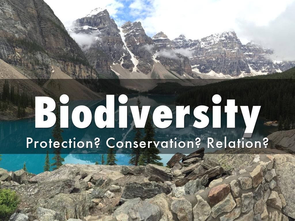 Biodiversity