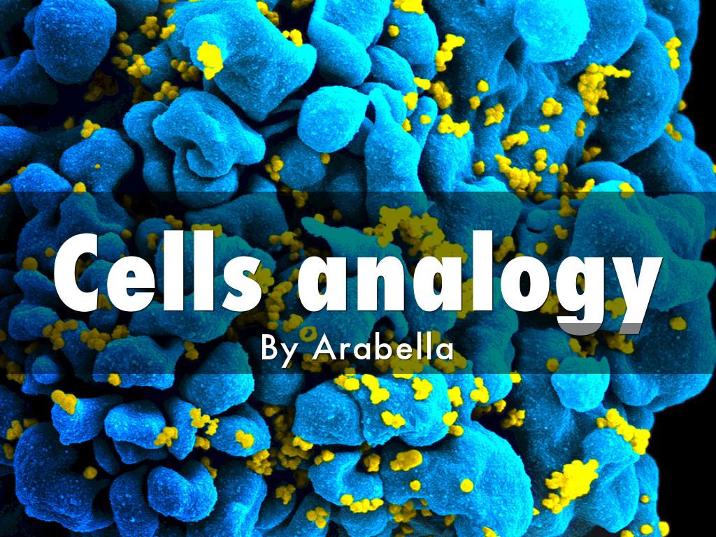 Cells Analogy 