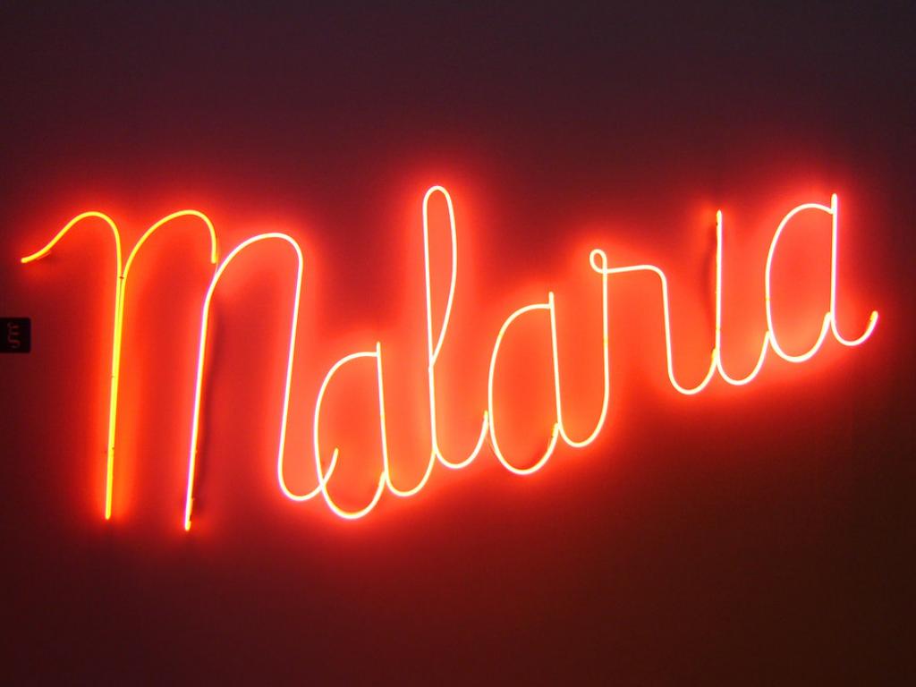 Malaria