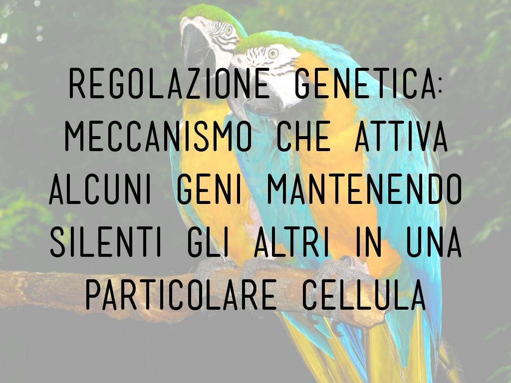 REGOLAZIONE GENETICA
