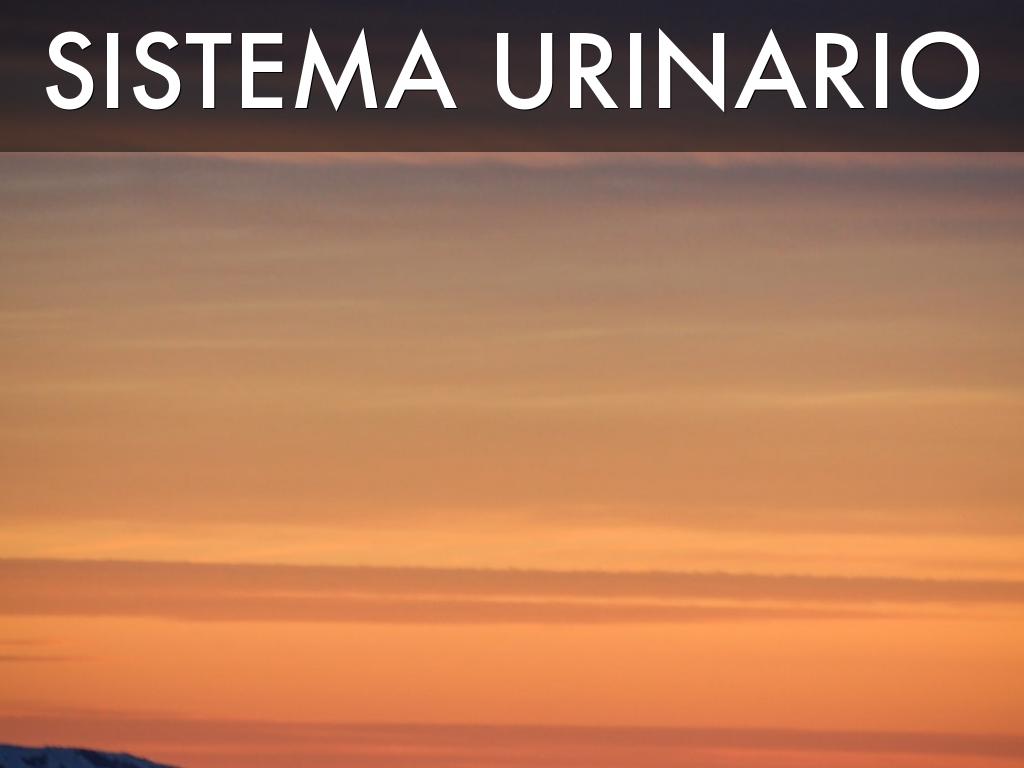 Â¿QuÃ© es Haiku Deck?