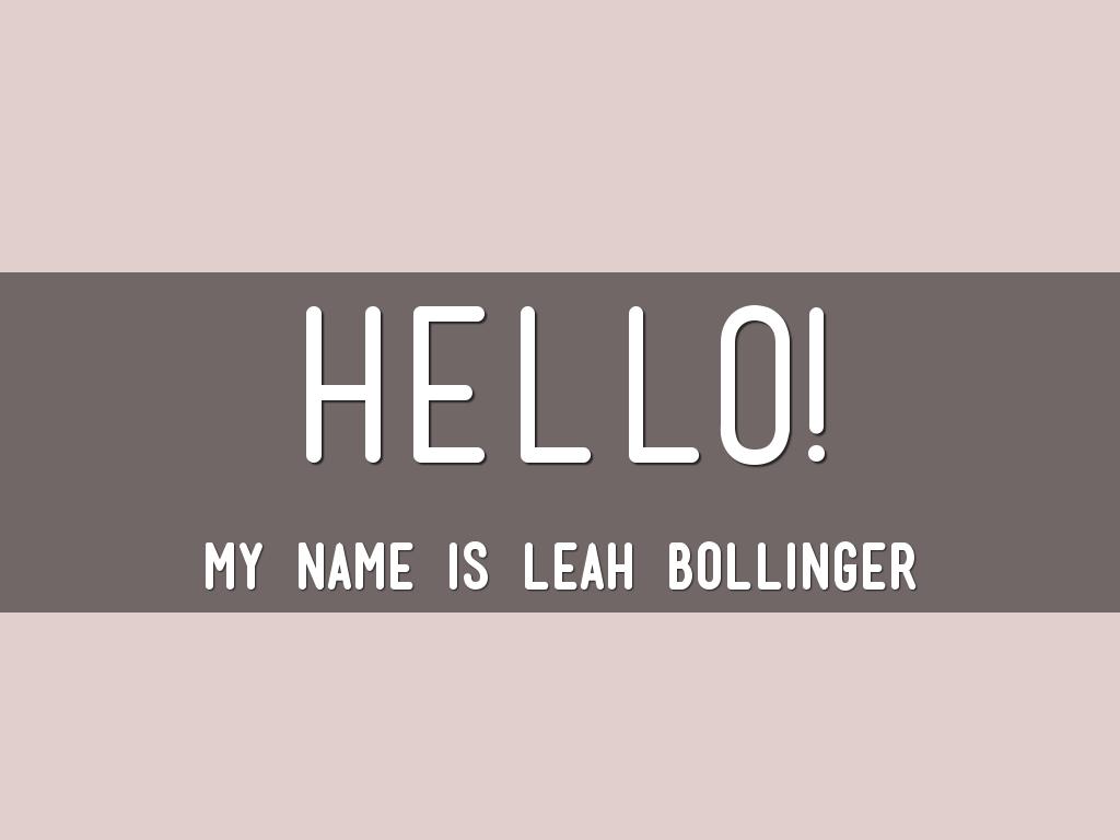 Leah Bollinger Leadership Introduction