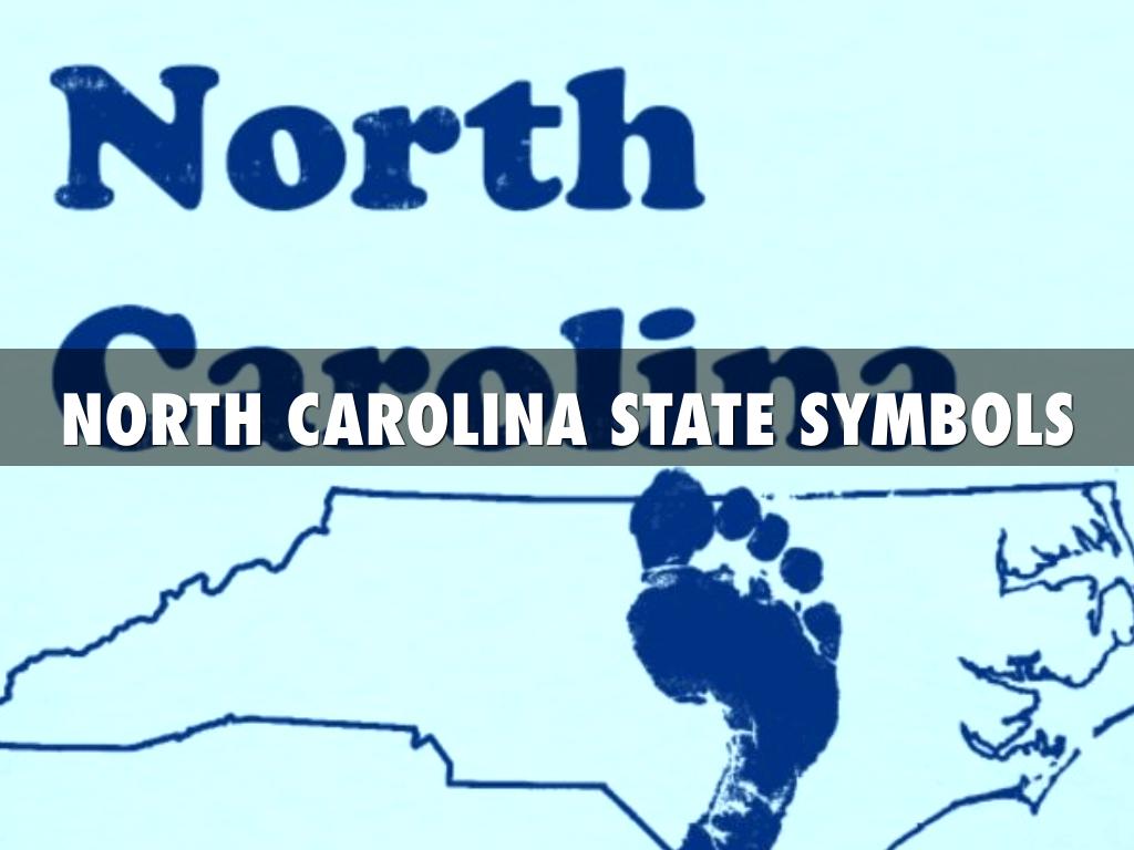 North Carolina State Symbols