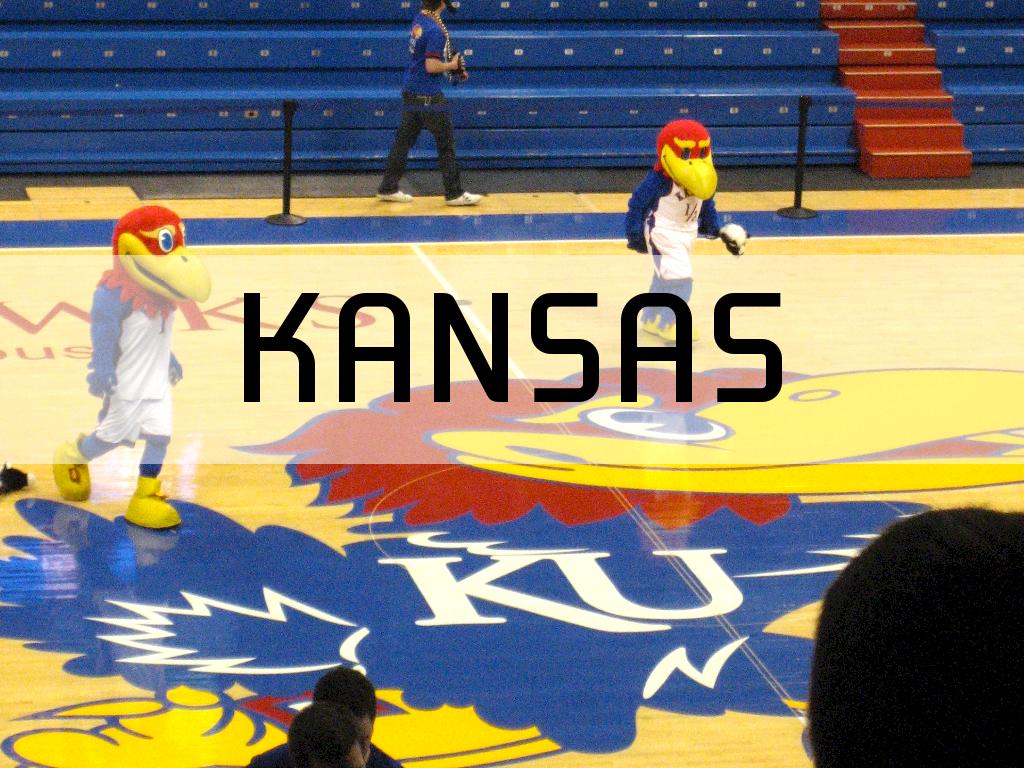 Social Studies Project