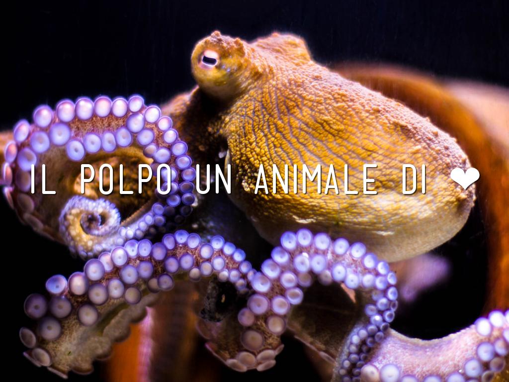 Copia di How to make a portfolio