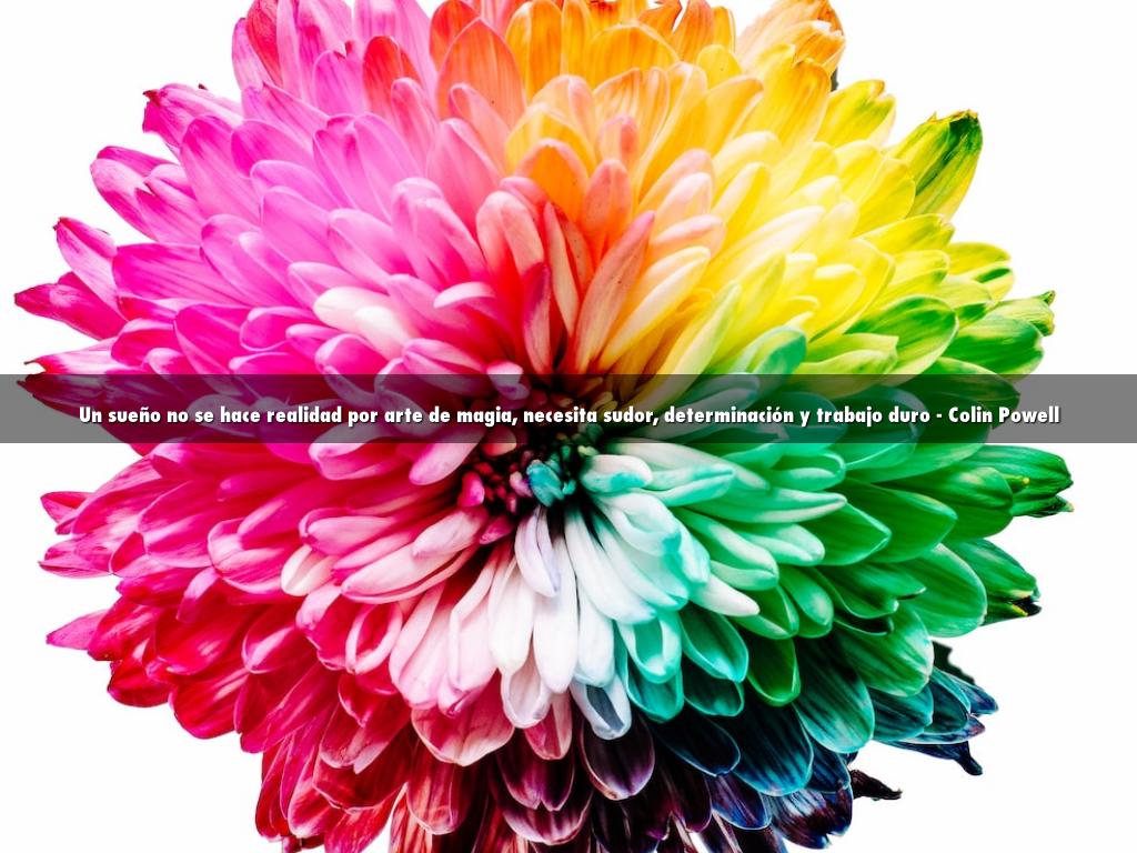 Un sueño no se hace realidad por arte de magia, necesita sudor, determinación y trabajo duro - Colin Powell