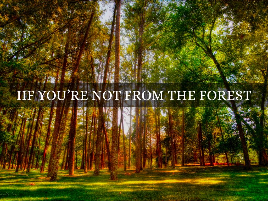 IF YOU’RE NOT FROM THE FOREST