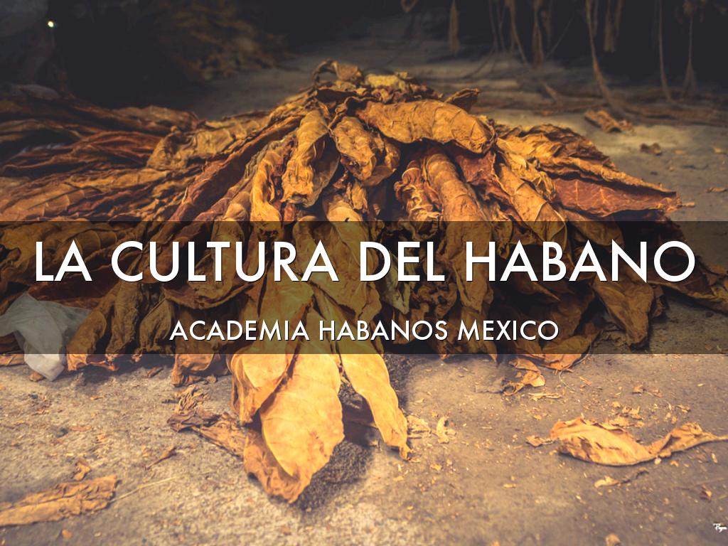 La Cultura Del Habano