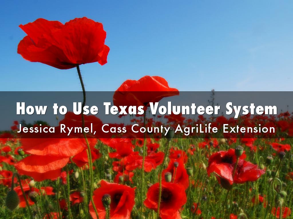 How to Use Texas Volunteer System