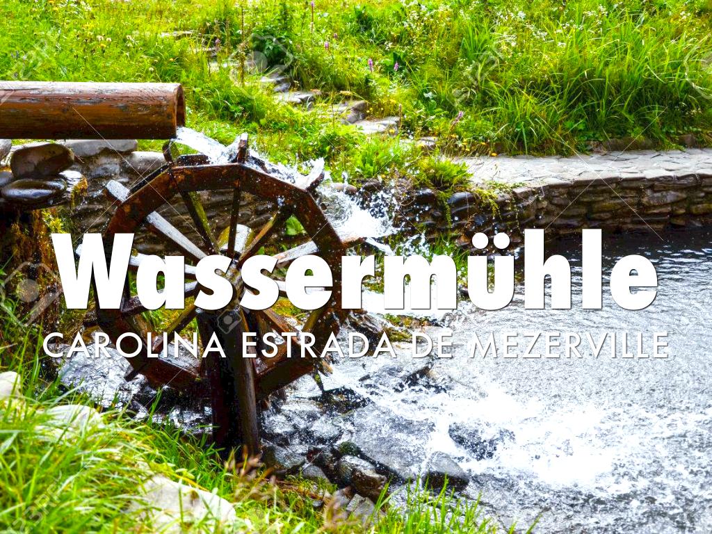 Proyecto De Ciencias 