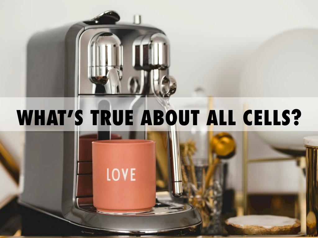 What’s True About All Cells