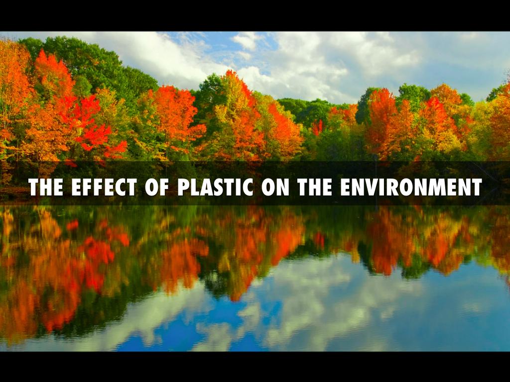 The Effect Of Plastic On The Environment