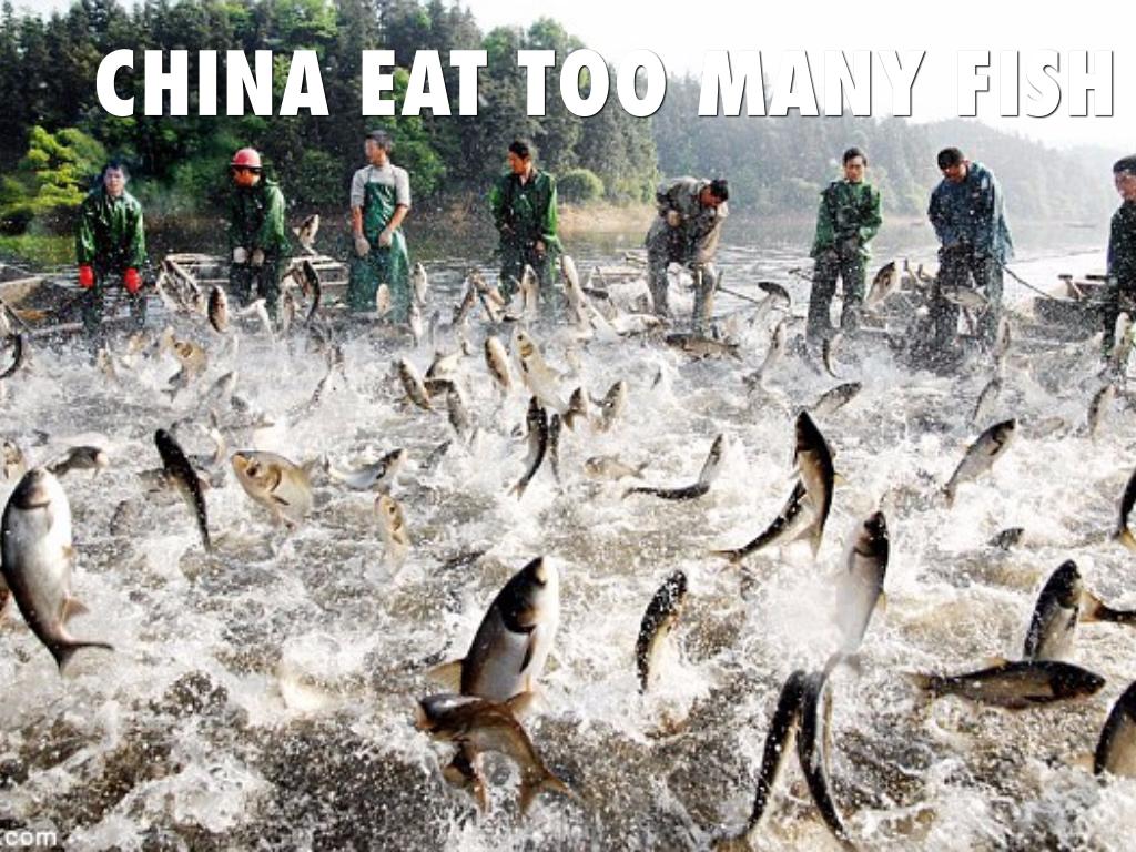 CHINA EAT TOO MANY FISH
