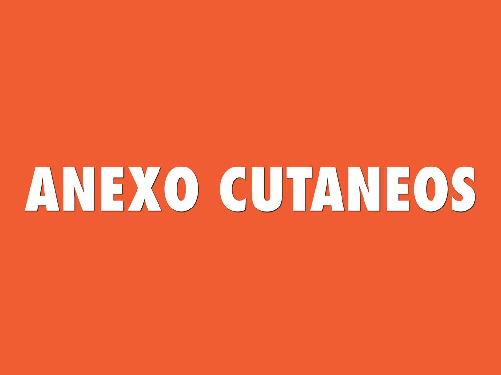ANEXO CUTANEOS
