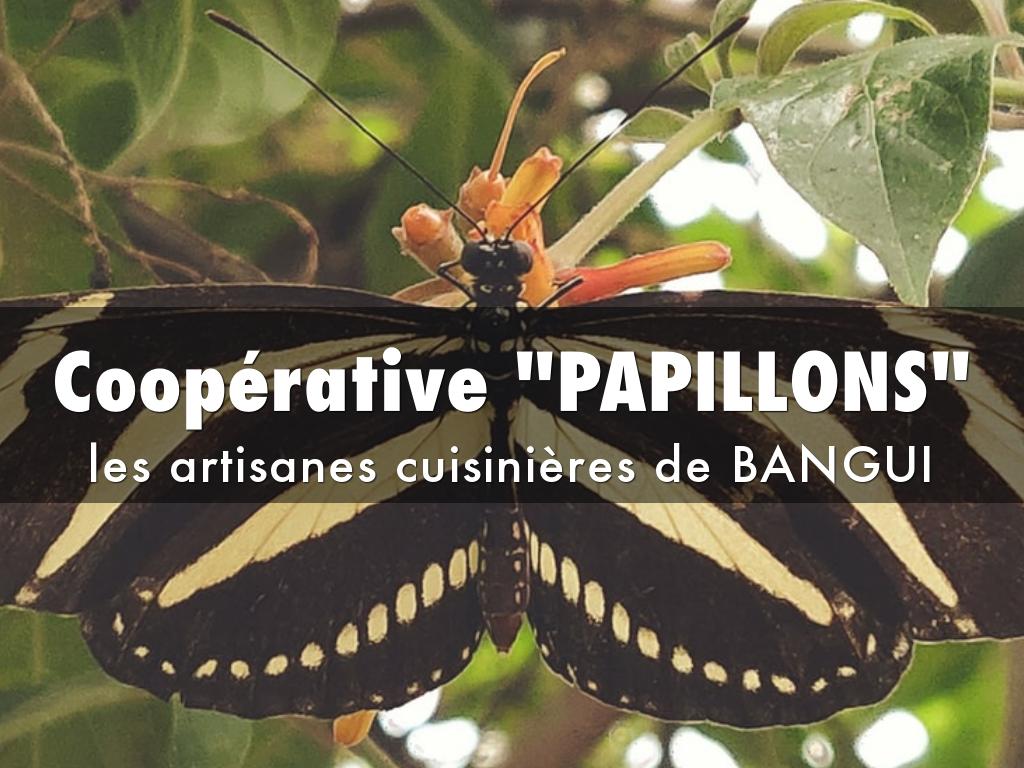 Coopérative "PAPILLONS"