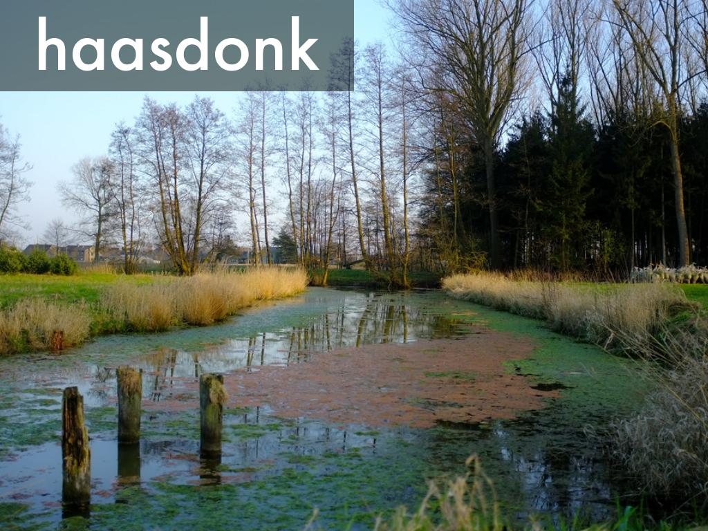haasdonk