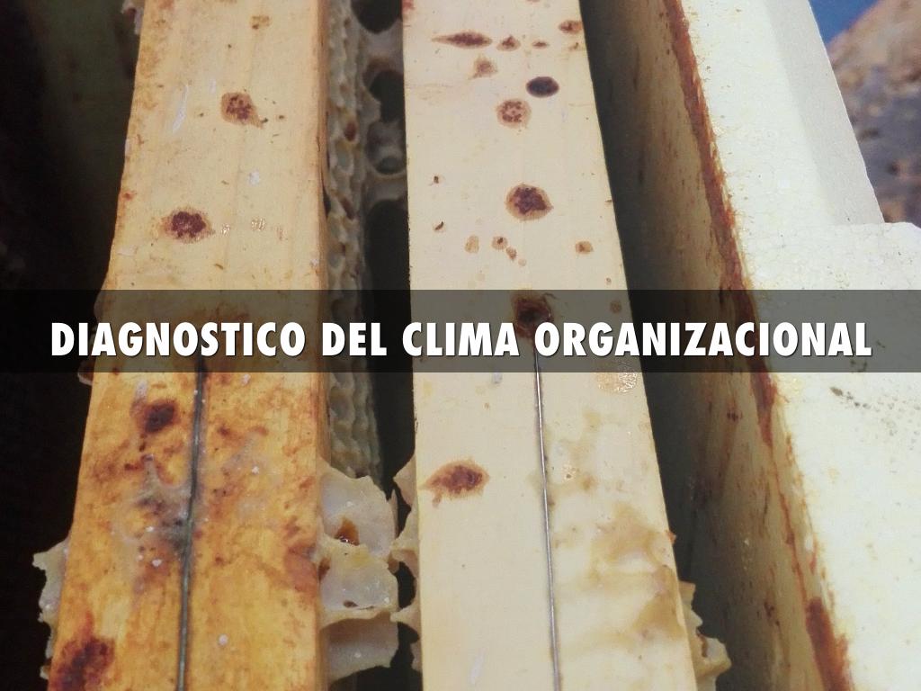 DIAGNOSTICO DEL CLIMA ORGANIZACIONAL