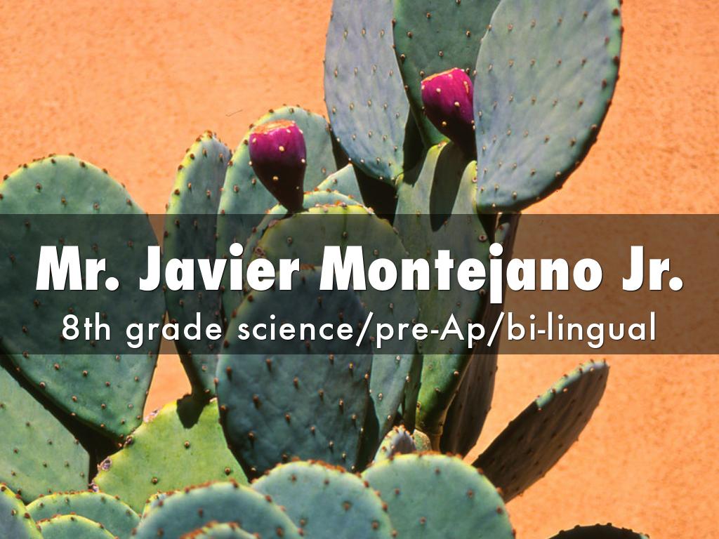 Mr. Javier Montejano Jr.