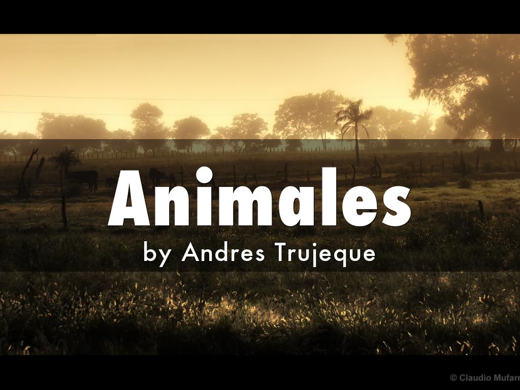 Animales