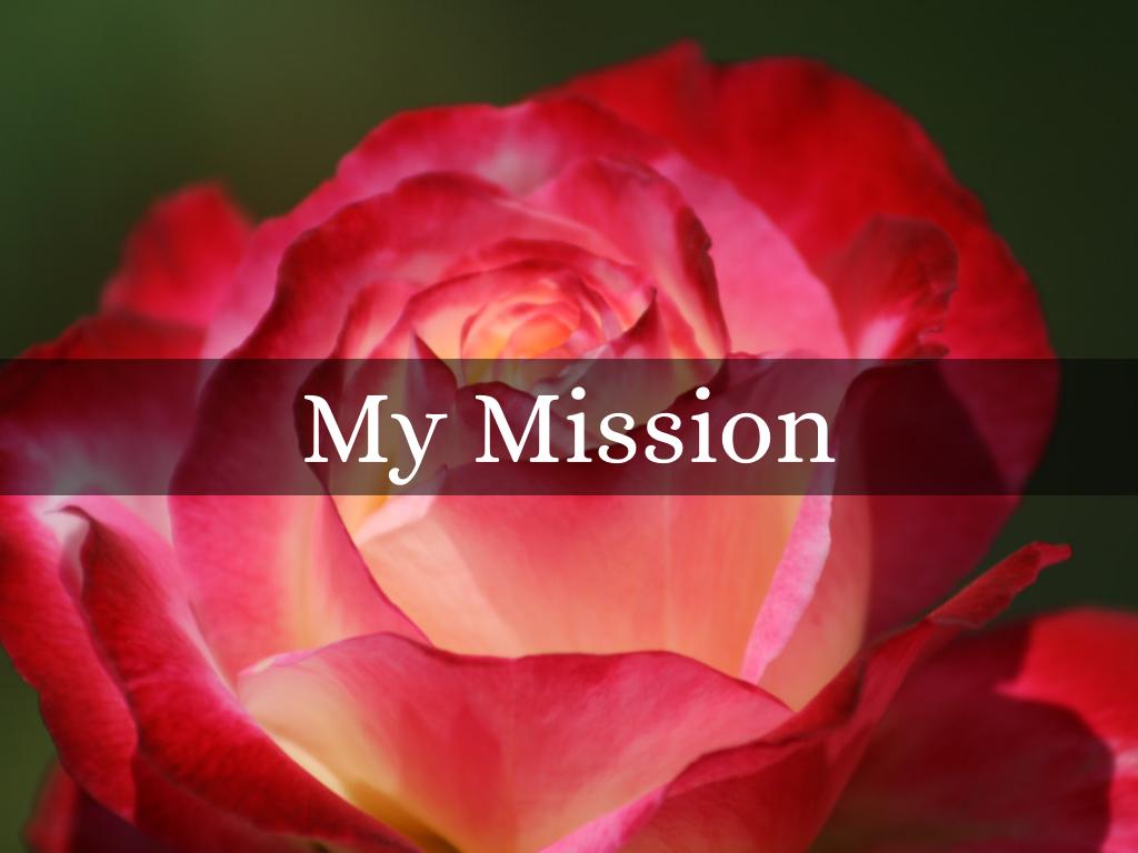 My Mission