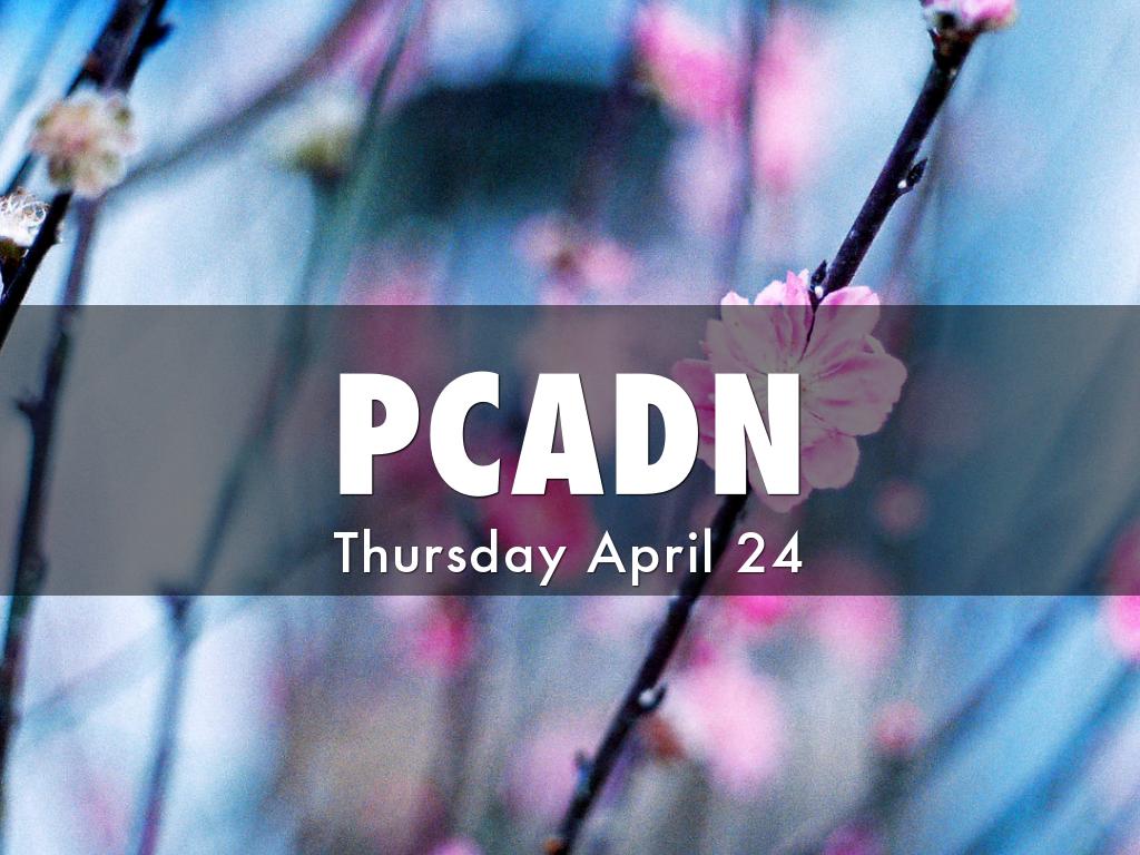 PCADN