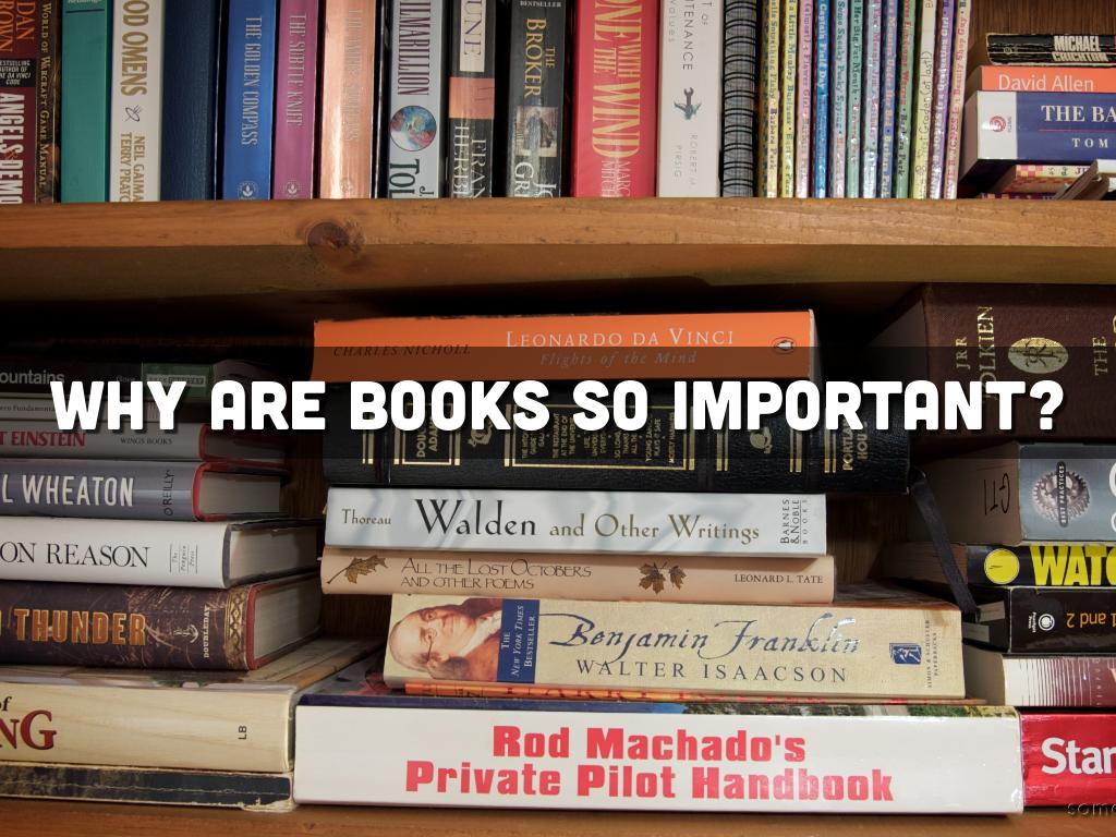 Fahrenheit 451 By Amanda Valle fahrenheit-451-by-amanda-valle