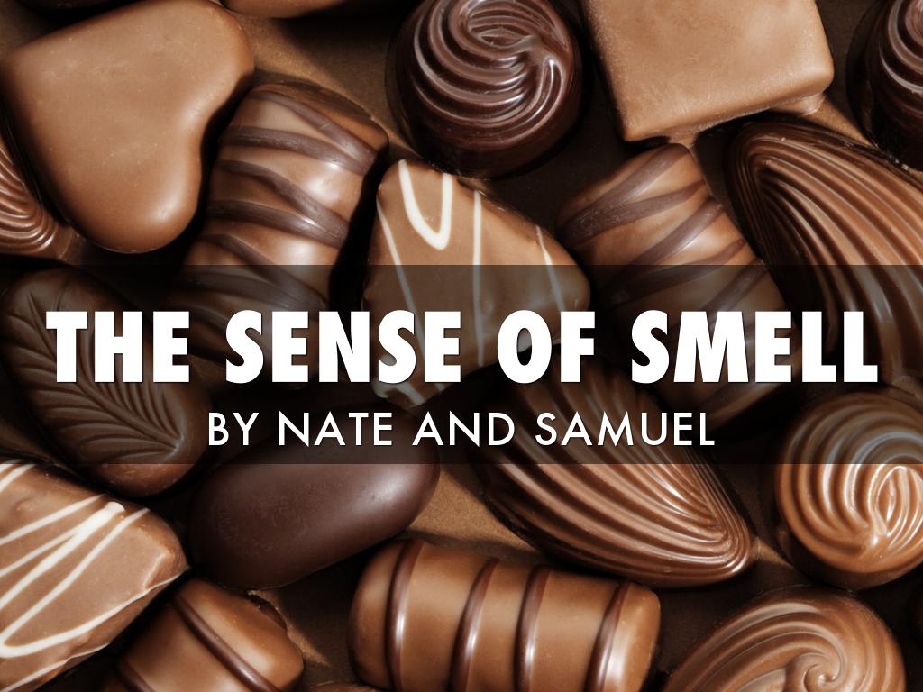 The Sense of Smell