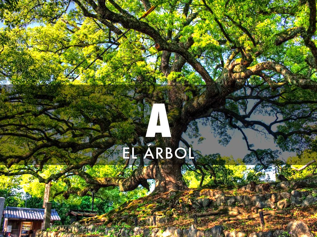 Mi Libro Del Alfabeto