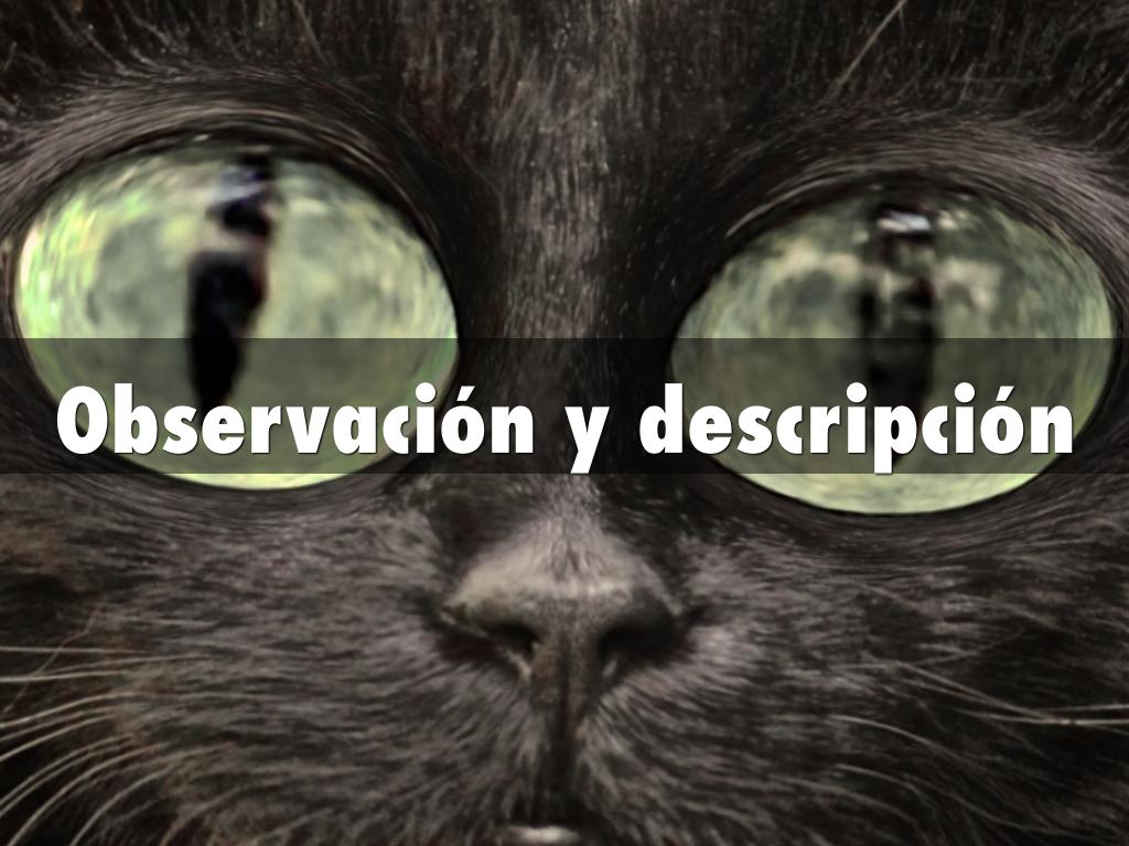 Observación y descripción