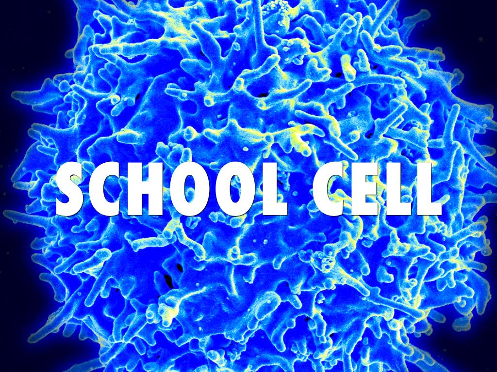 School Cell