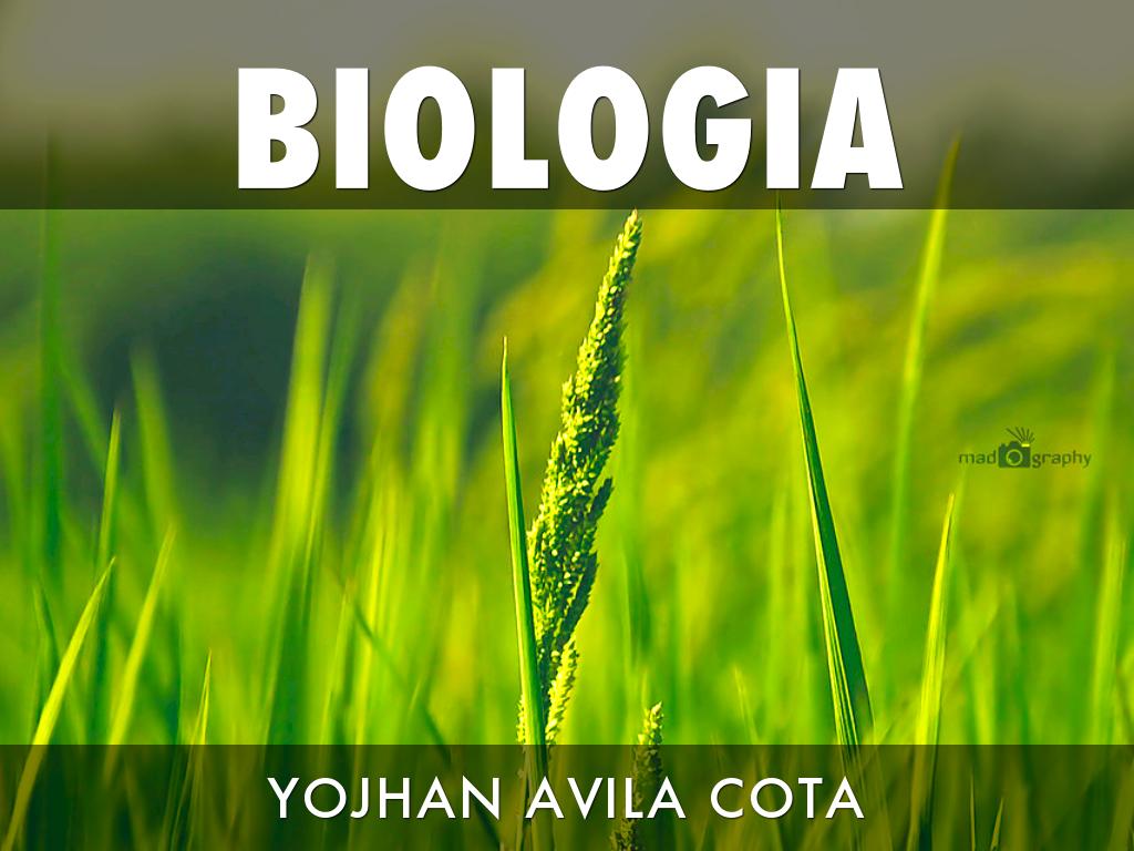 Â¿QuÃ© es Haiku Deck?