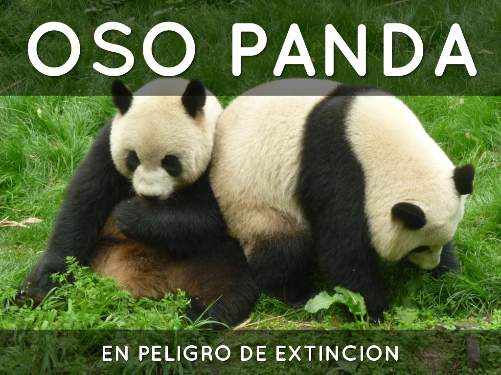 Haiku Deck en acciÃ³n