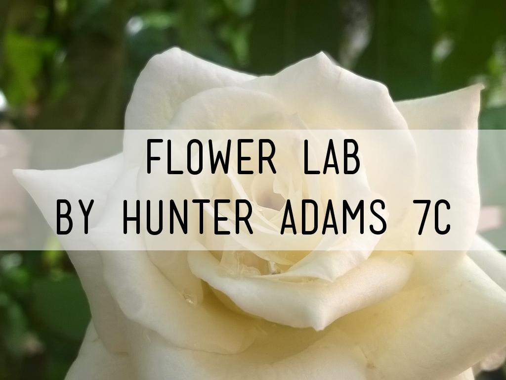 Copy of Flower Lab