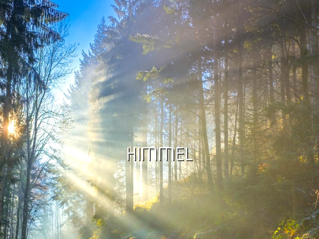 Stor er din trofasthet